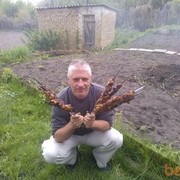 ���������� ������, ���� ������� �������, 51 ���, ������������ ��� ������, ����� � ���������, c�������� ���������