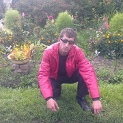  -,   , 41 ,   ,   , c 