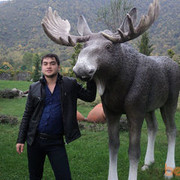  ,   Feqan, 36 ,   ,   , c 