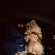 ���������� �������, ���� ����� �������, 25 ���, ������������ ��� ������