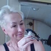  ,   , 53 ,   ,   