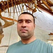 ���������� ������, ���� ������� ������, 39 ���, ������������ ��� ������, ����� � ���������, c�������� ���������, ���������