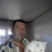 ���������� ������ ���, ���� ������� ����, 50 ���, ������������ ��� ������, ����� � ���������, c�������� ���������