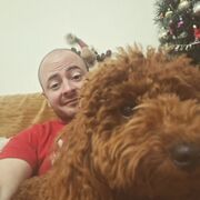  ,   Dimitar, 36 ,   ,   