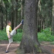 ���������� �����, ���� ������� ���������, 38 ���, ������������ ��� ������, ����� � ���������, c�������� ���������