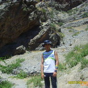  ,   Akmal, 38 ,     , c 