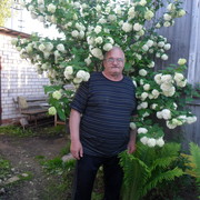  ,   , 61 ,   ,   , c 