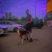  ,   , 22 ,   ,   , c , 