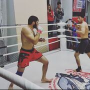 ���������� ����������, ���� ������� �����, 30 ���, ������������ ��� ������, ����� � ���������