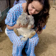 ���������� ������, ���� ������� ������, 35 ���, ������������ ��� ����� � ���������, c�������� ���������