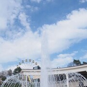  ,   , 56 ,     , c 
