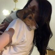 ���������� ������, ���� ������� ���������, 23 ����, ������������ ��� ������, ����� � ���������