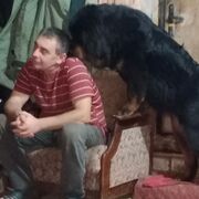  ,  , 55