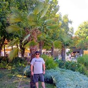 ���������� ���������, ���� ������� �����, 46 ���, ������������ ��� ������, ����� � ���������, c�������� ���������, ���������