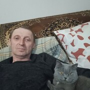  ,   , 51 ,   ,   