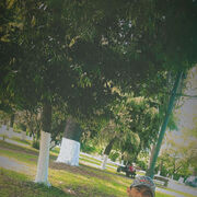 ���������� ����, ���� ����� Nukri, 22 ����, ������������ ��� ������, ����� � ���������