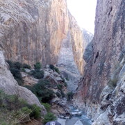 ���������� ���, ���� ������� ������, 46 ���, ������������ ��� ������, ����� � ���������, c�������� ���������