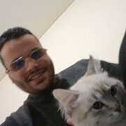  ,   , 38 ,   ,   