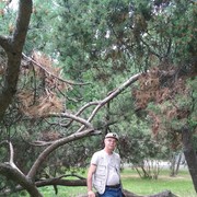 ���������� ����������, ������� ������, 64