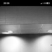 ���������� ������, ���� ������� �����, 26 ���, ������������ ��� ������, ����� � ���������