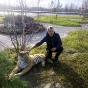 ���������� ������������, ���� ������� ������, 45 ���, ������������ ��� ������, ����� � ���������, c�������� ���������