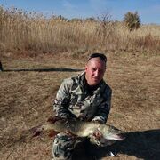 ���������� ������, ���� ������� ������, 42 ����, ������������ ��� ������, ����� � ���������