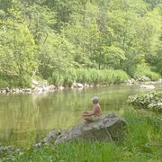 ���������� ���, ���� ������� ������, 41 ���, ������������ ��� ������, ����� � ���������, c�������� ���������