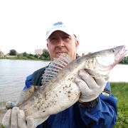 ���������� ���������, ���� ������� ������, 57 ���, ������������ ��� ����� � ���������, c�������� ���������