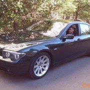 ���������� �������, ���� ������� Gio, 39 ���, ������������ ��� ����� � ���������, c�������� ���������