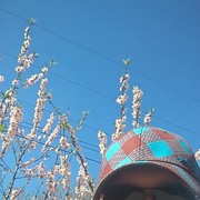  ,   , 42 ,   ,   , c 