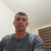  -,   , 41 ,  