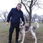 ���������� ����������, ���� ������� ����, 36 ���, ������������ ��� ������, ����� � ���������