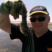 ���������� ����������, ���� ������� Black, 55 ���, ������������ ��� ������