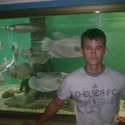  ,   Sohib, 36 ,   ,   , c 