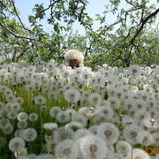 ���������� ������, ���� ������� �����, 32 ����, ������������ ��� ����� � ���������, c�������� ���������