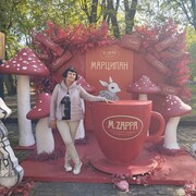 ���������� �������, ���� ������� �����, 49 ���, ������������ ��� ������, ����� � ���������, c�������� ���������, ���������