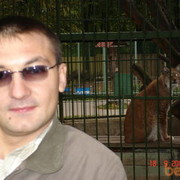   ,   , 48 ,  