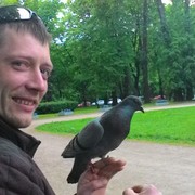 ���������� ������, ���� ������� �����, 39 ���, ������������ ��� ������, ����� � ���������, c�������� ���������