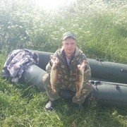   ,   , 43 ,   