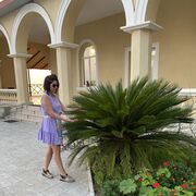 ���������� ������, ���� ������� �������, 48 ���, ������������ ��� ����� � ���������, c�������� ���������, ���������