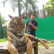 ���������� �����-���������, ���� ������� ���������, 44 ����, ������������ ��� ������, ����� � ���������, c�������� ���������, ���������