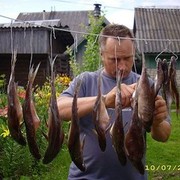  ,   , 59 ,   