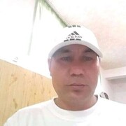  -,  , 46