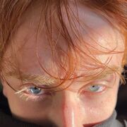 ���������� ������, ���� ����� ����, 20 ���, ������������ ��� ������, ����� � ���������