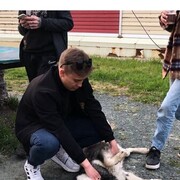 ���������� ����-���������, ���� ����� �����, 24 ����, ������������ ��� ������