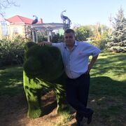 ���������� ���������, ���� ������� ������, 43 ����, ������������ ��� ������, ����� � ���������, c�������� ���������, ���������