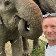 ���������� �����, ���� ������� �����, 36 ���, ������������ ��� ������, ����� � ���������, c�������� ���������