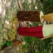  ,   , 48 ,   ,   