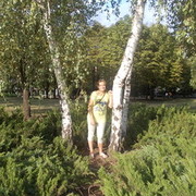 ���������� ������ ���, ���� ������� ���, 30 ���, ������������ ��� ������, ����� � ���������, c�������� ���������