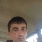  ,   SARDOR, 38 ,   ,   , c 